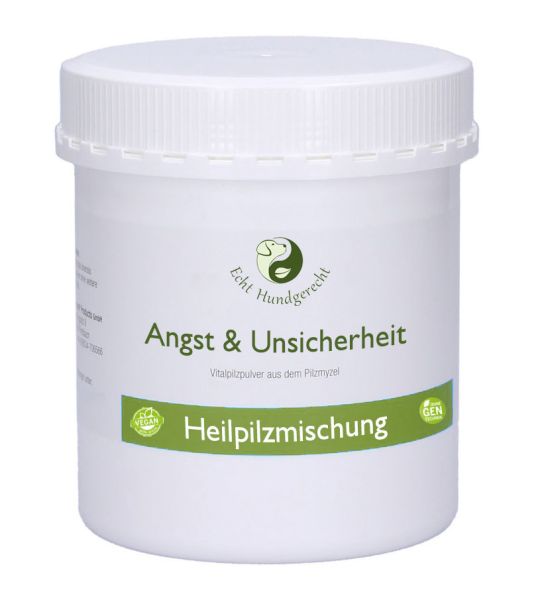 Heilpilze für Hunde mit Angst, Lärmempfindlichkeit oder Trauma