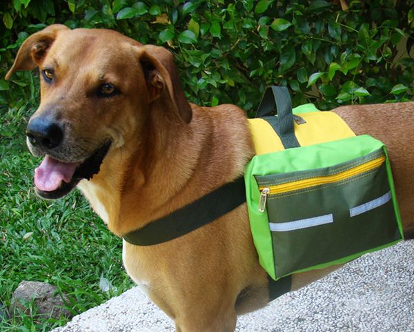 Hunderucksack M für mittelgroße Hunde