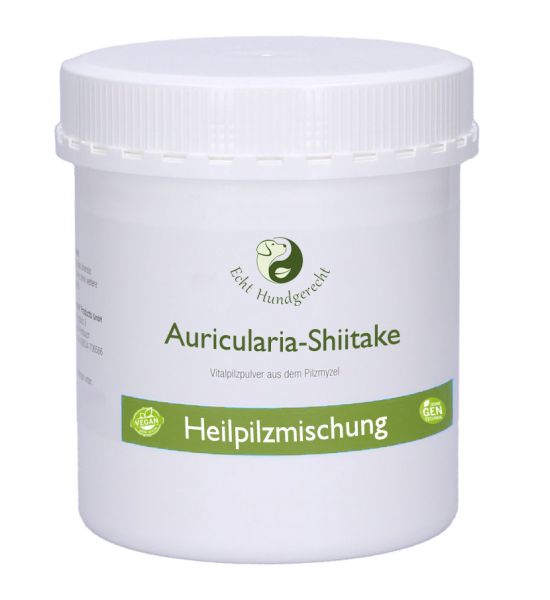 Heilpilze für den Bewegungsapparat