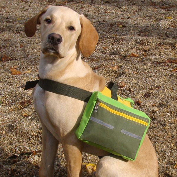 Hunderucksack M für mittelgroße Hunde