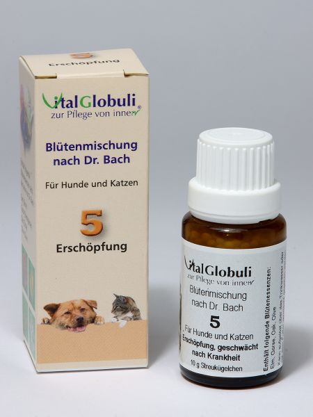 Bachblüten für Hunde - Erschöpfung
